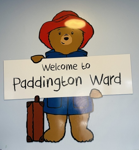 paddington ward.jpg